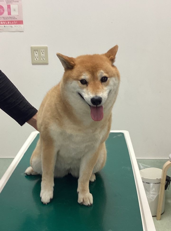サニー