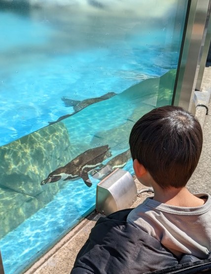 ペンギン