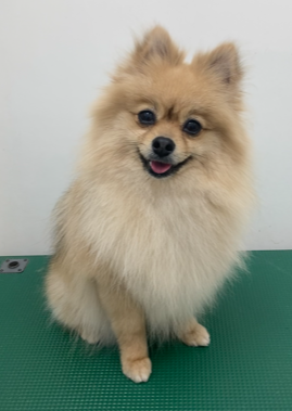 すずちゃん