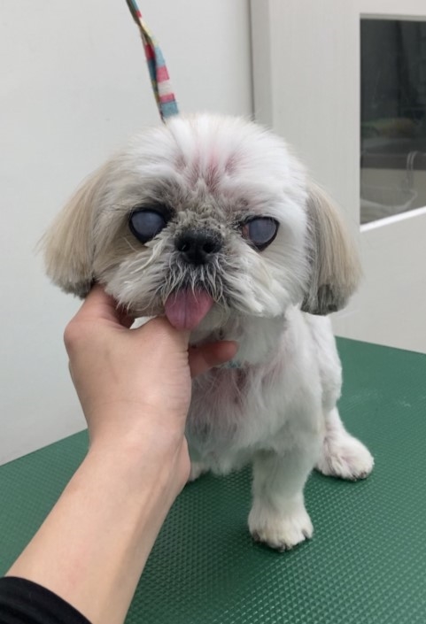 れいちゃん