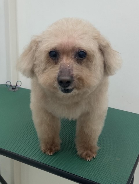 メイちゃん