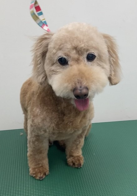 モコちゃん