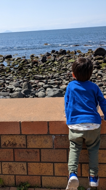 息子と海