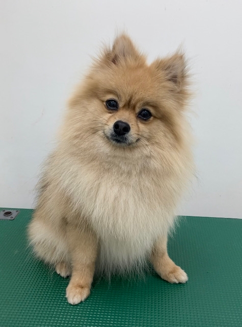 すずちゃん