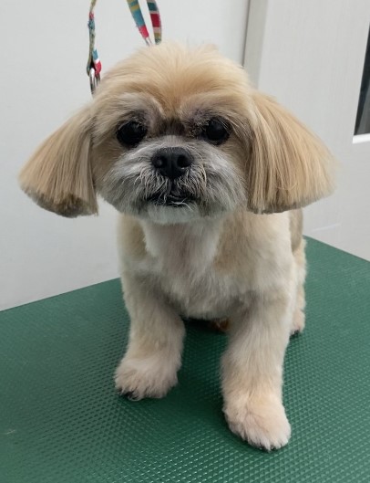 隆之介くん