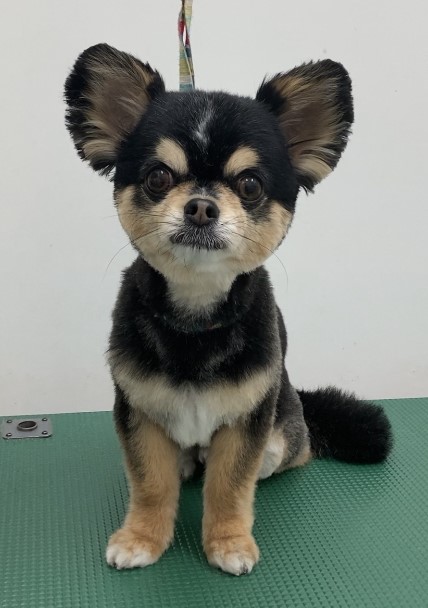 空くん