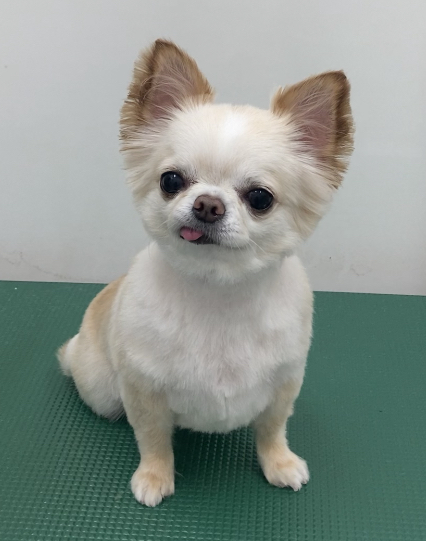 咲良ちゃん