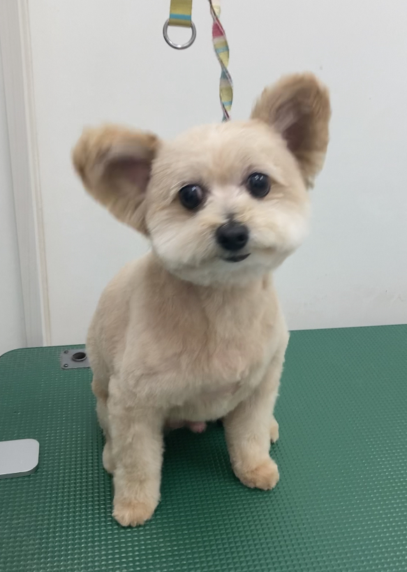 まるくん