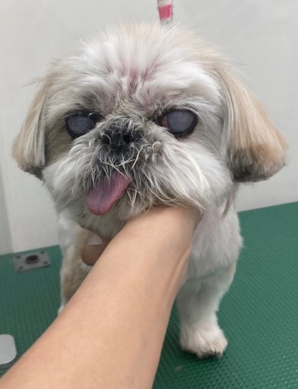 れいちゃん