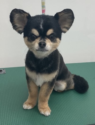 空くん