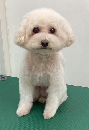 ゆずちゃん