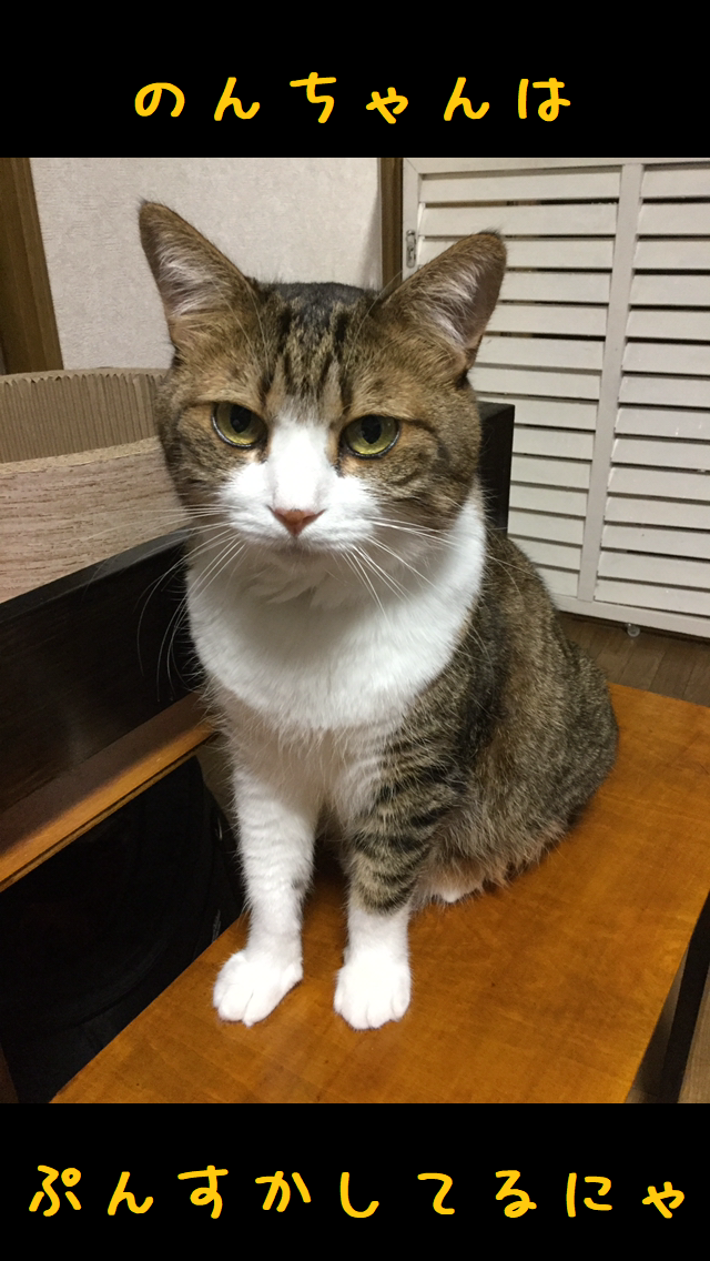 むっす〜