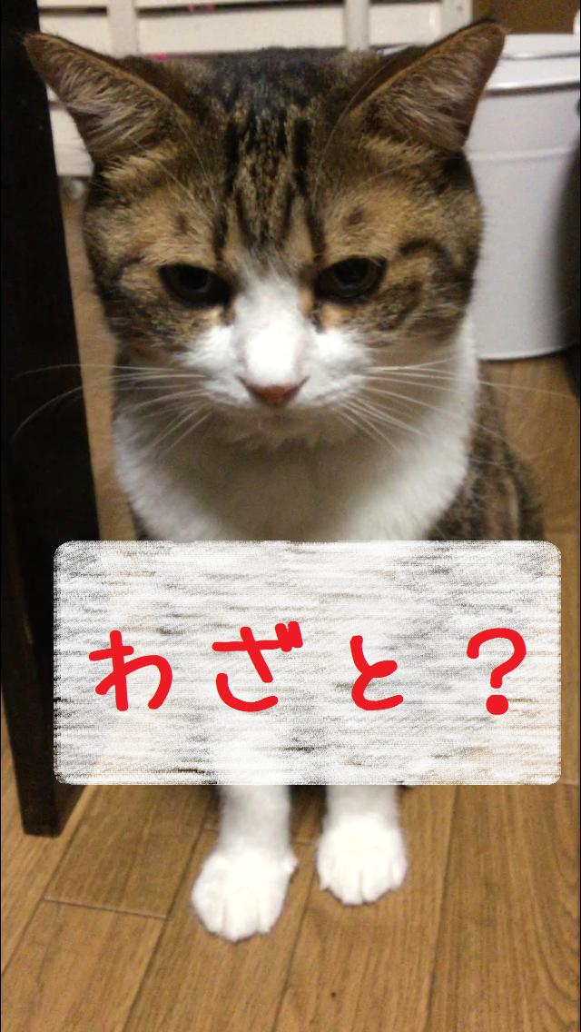 わざと?