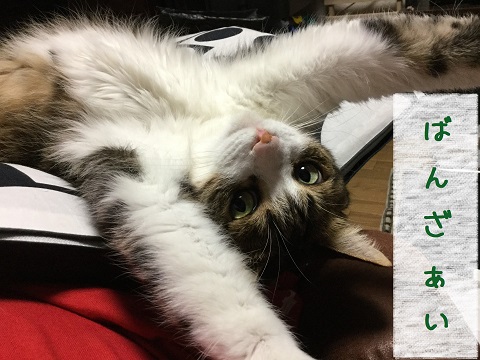 ばんざい