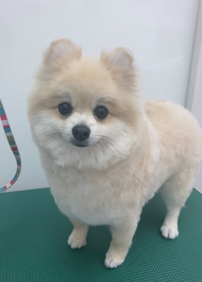レオンくん