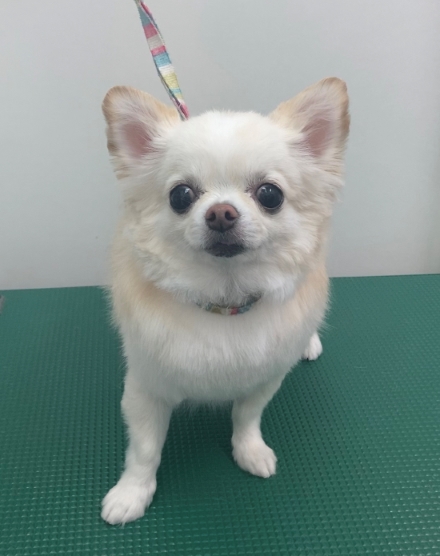 ゆばちゃん