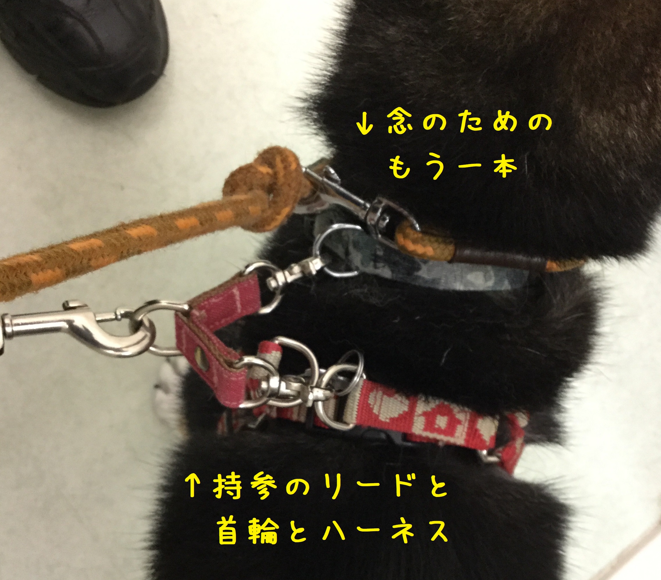 大野流