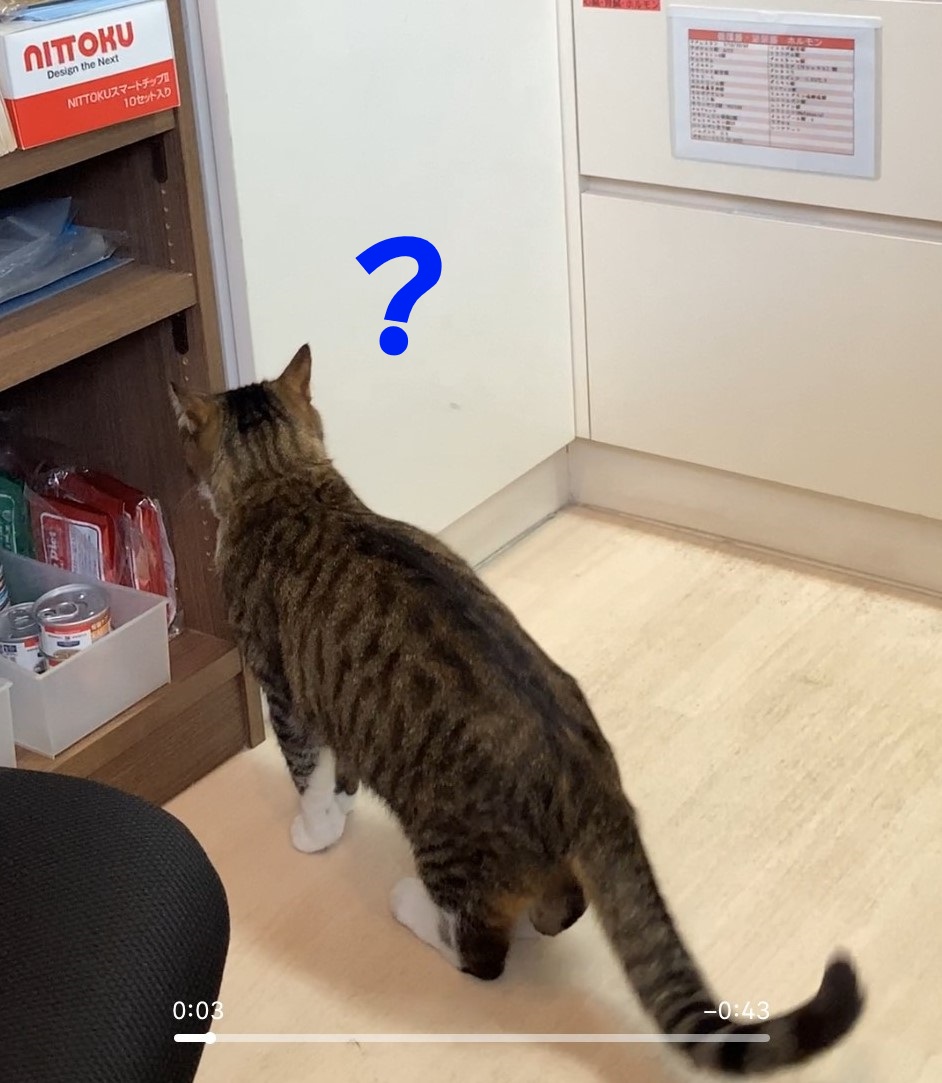 ?