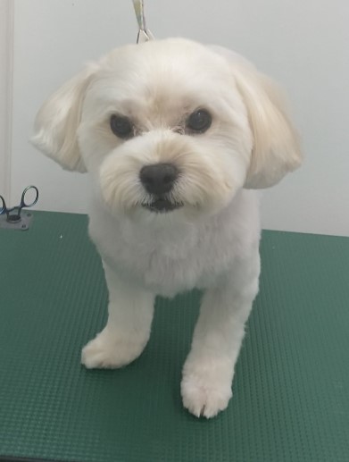 まりんちゃん