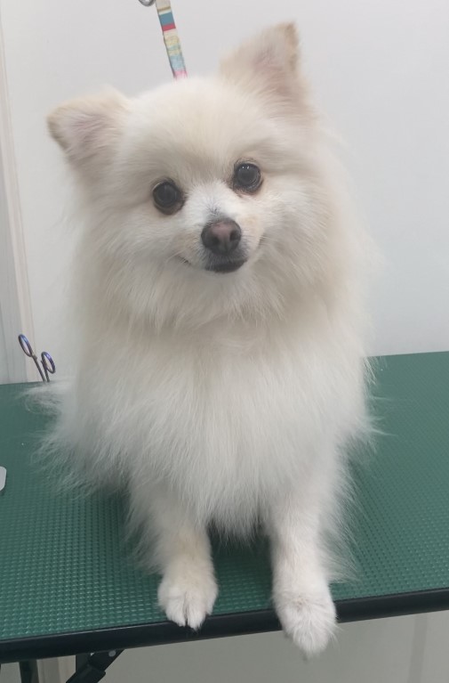 ムーくん