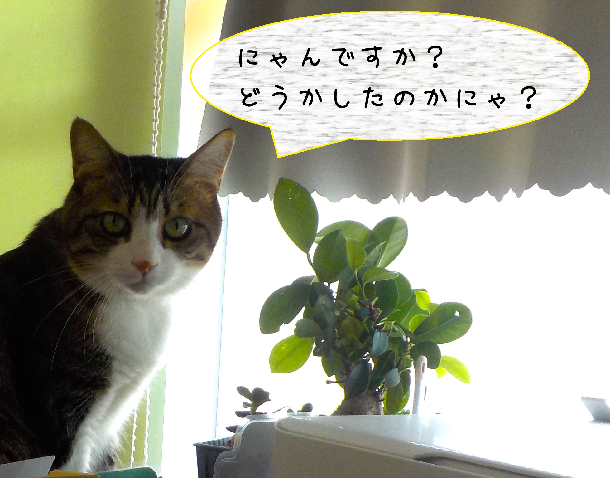 なに?