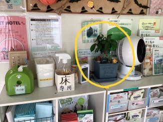 避難所
