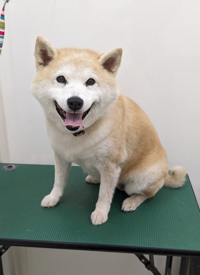 うめちゃん