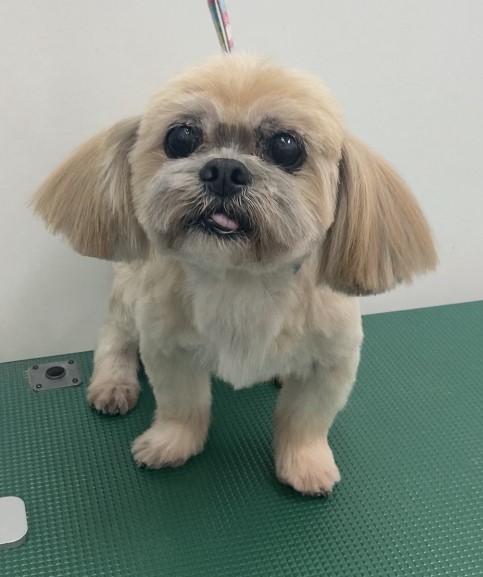隆之介くん
