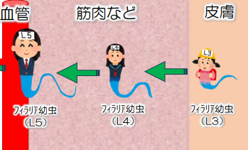 学生時代