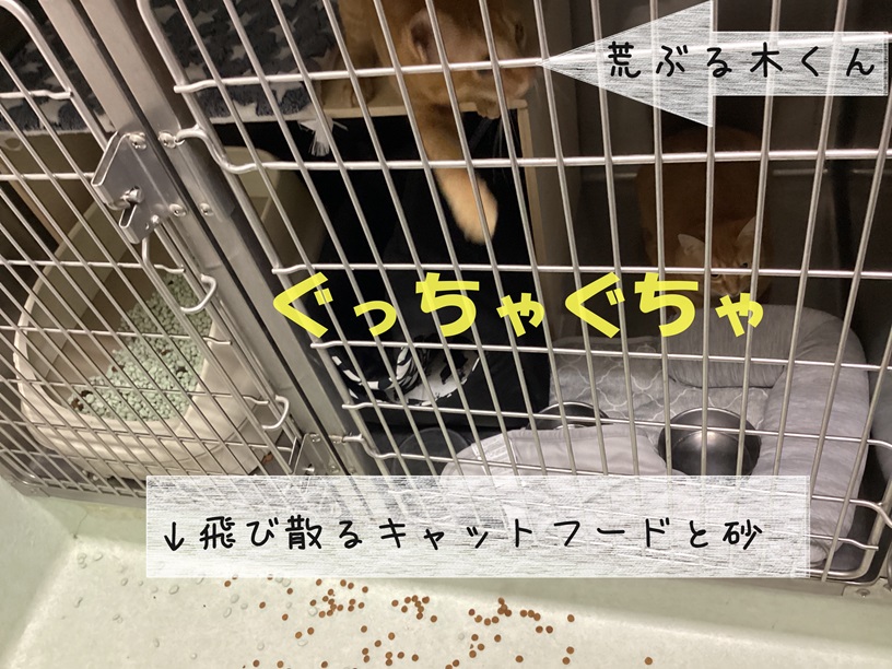 ぐっちゃり