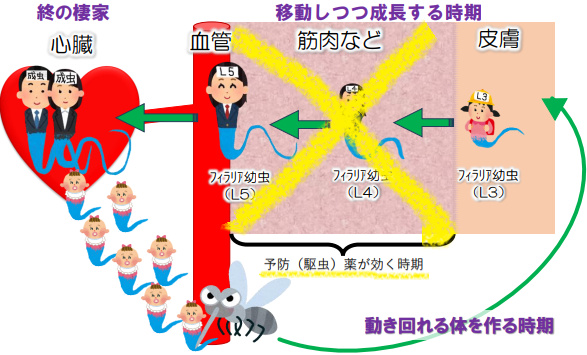 作用する場所