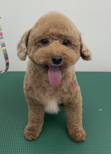 ナッツくん