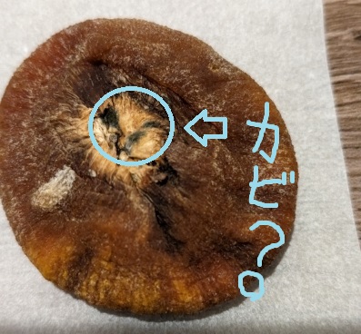 カビ柿さん