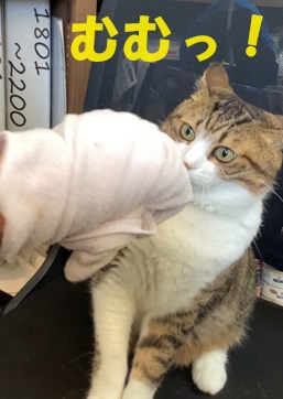 むむん