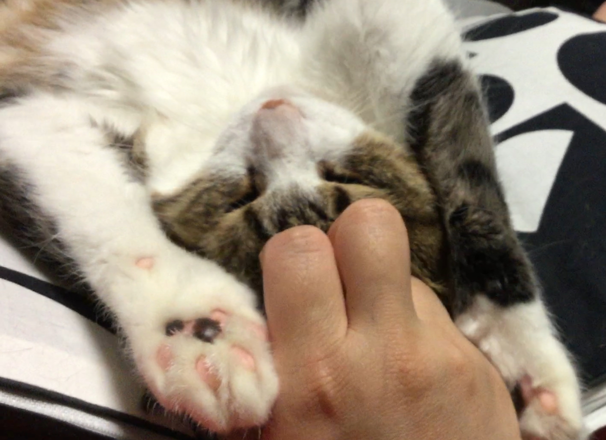 サンキュー労働者