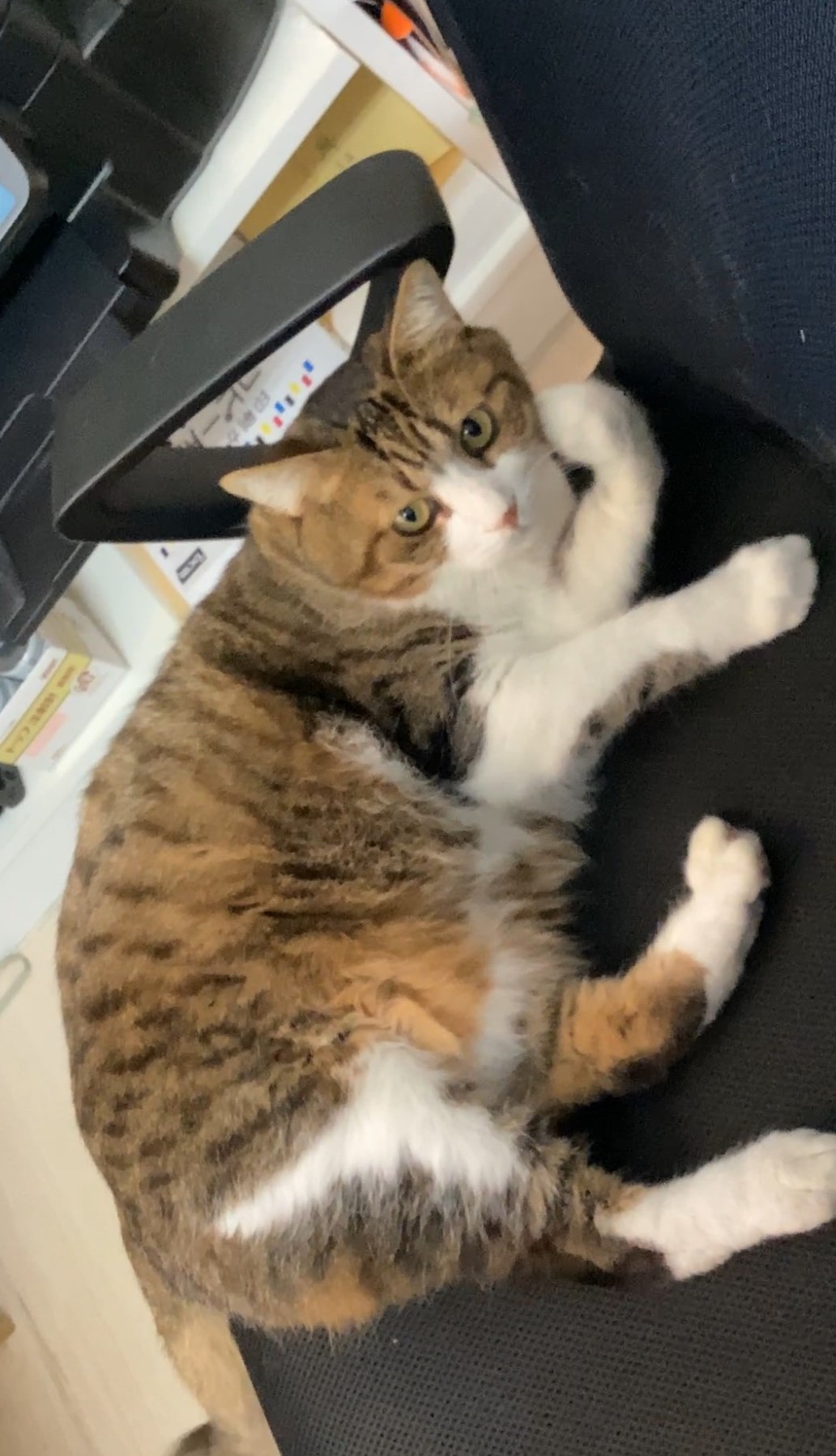 ふむふむ