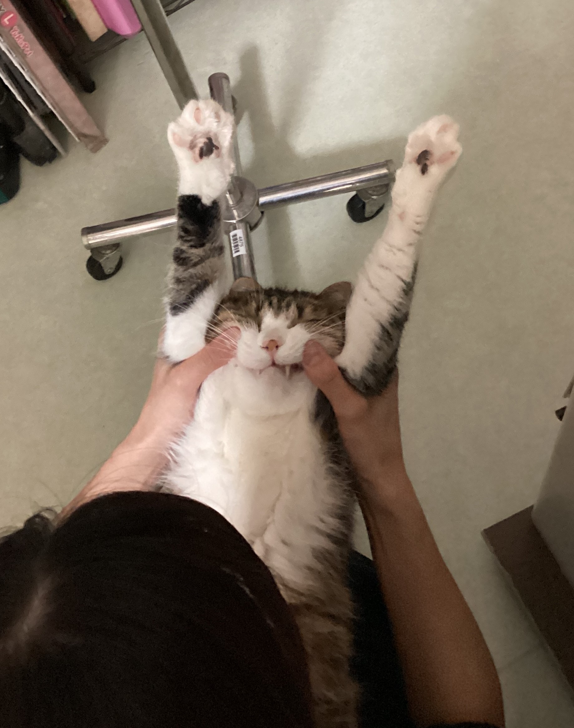 にっこり?