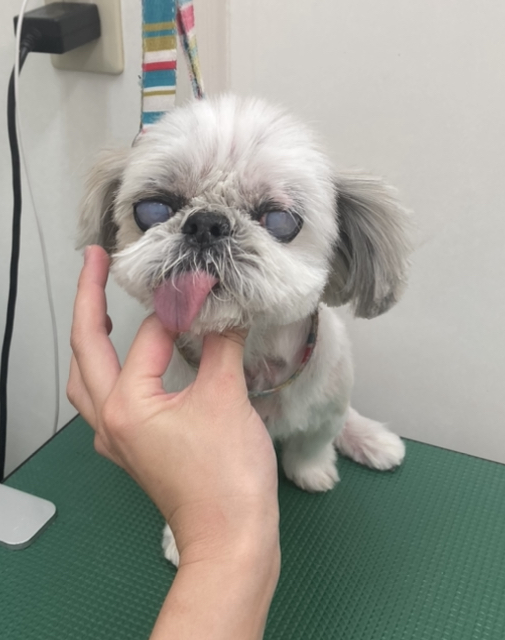 れいちゃん