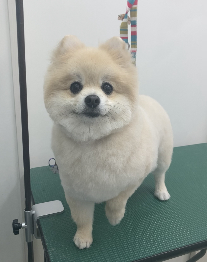 レオンくん