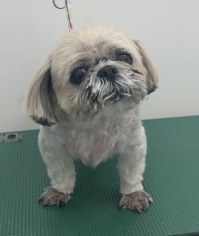 まりちゃん