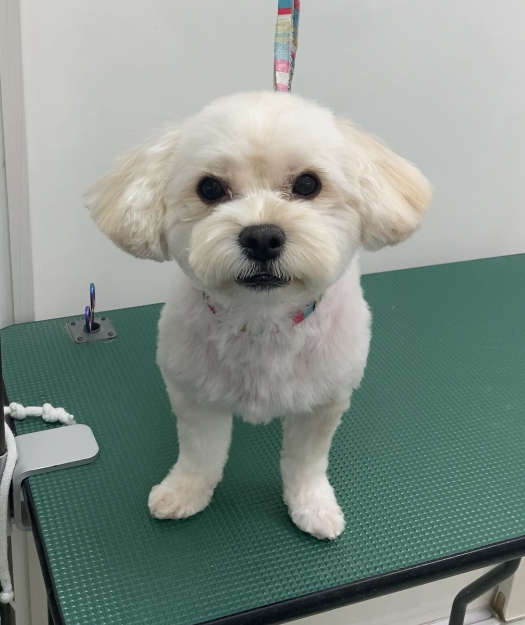 まりんちゃん
