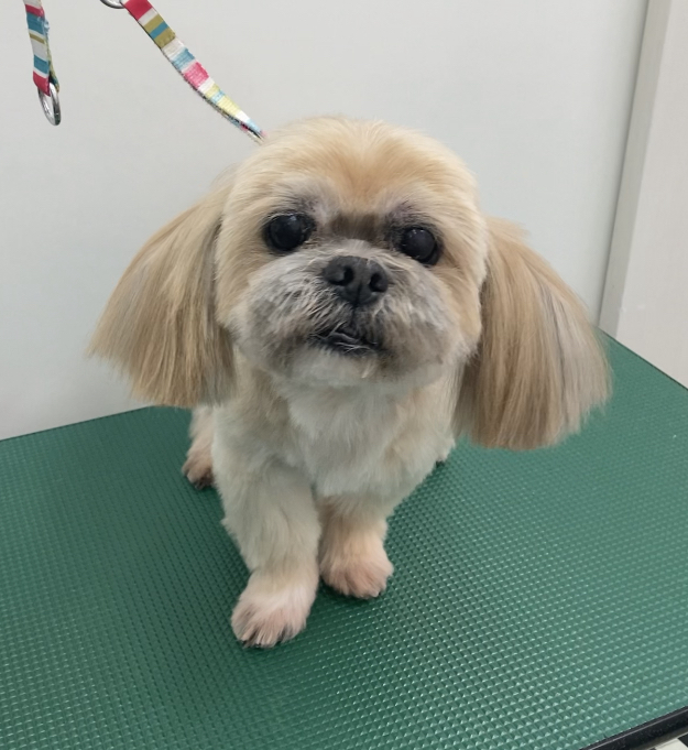 隆之介くん