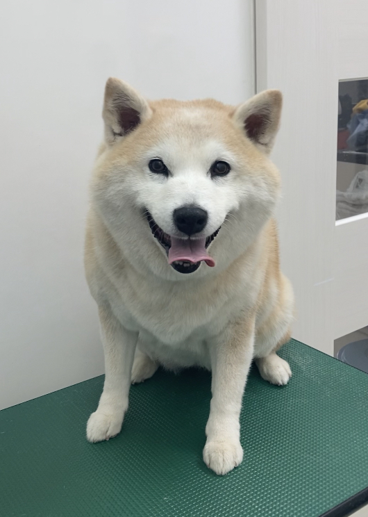 うめちゃん
