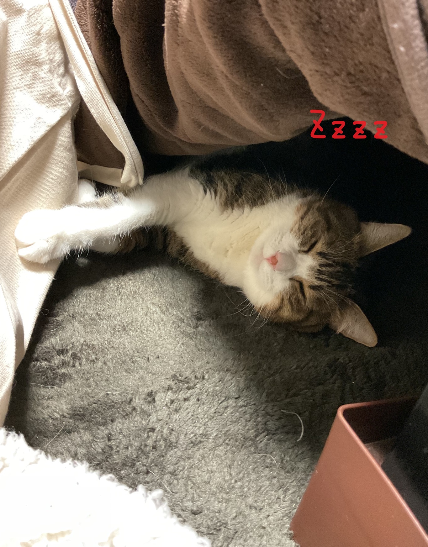 すやすや