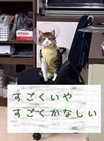 悲しみ