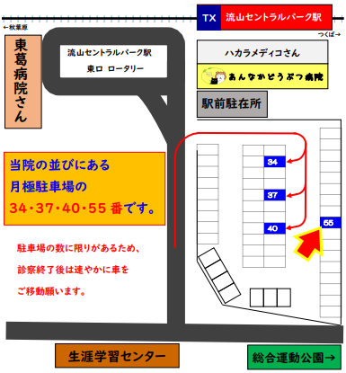 55も