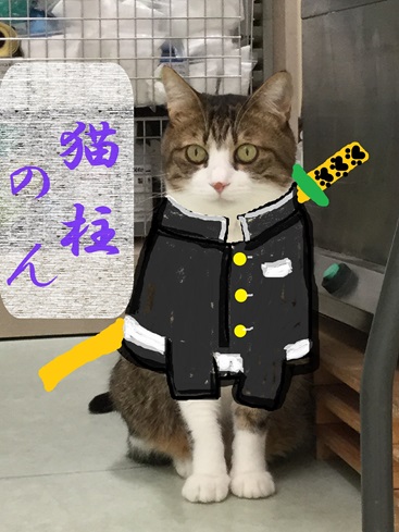猫柱