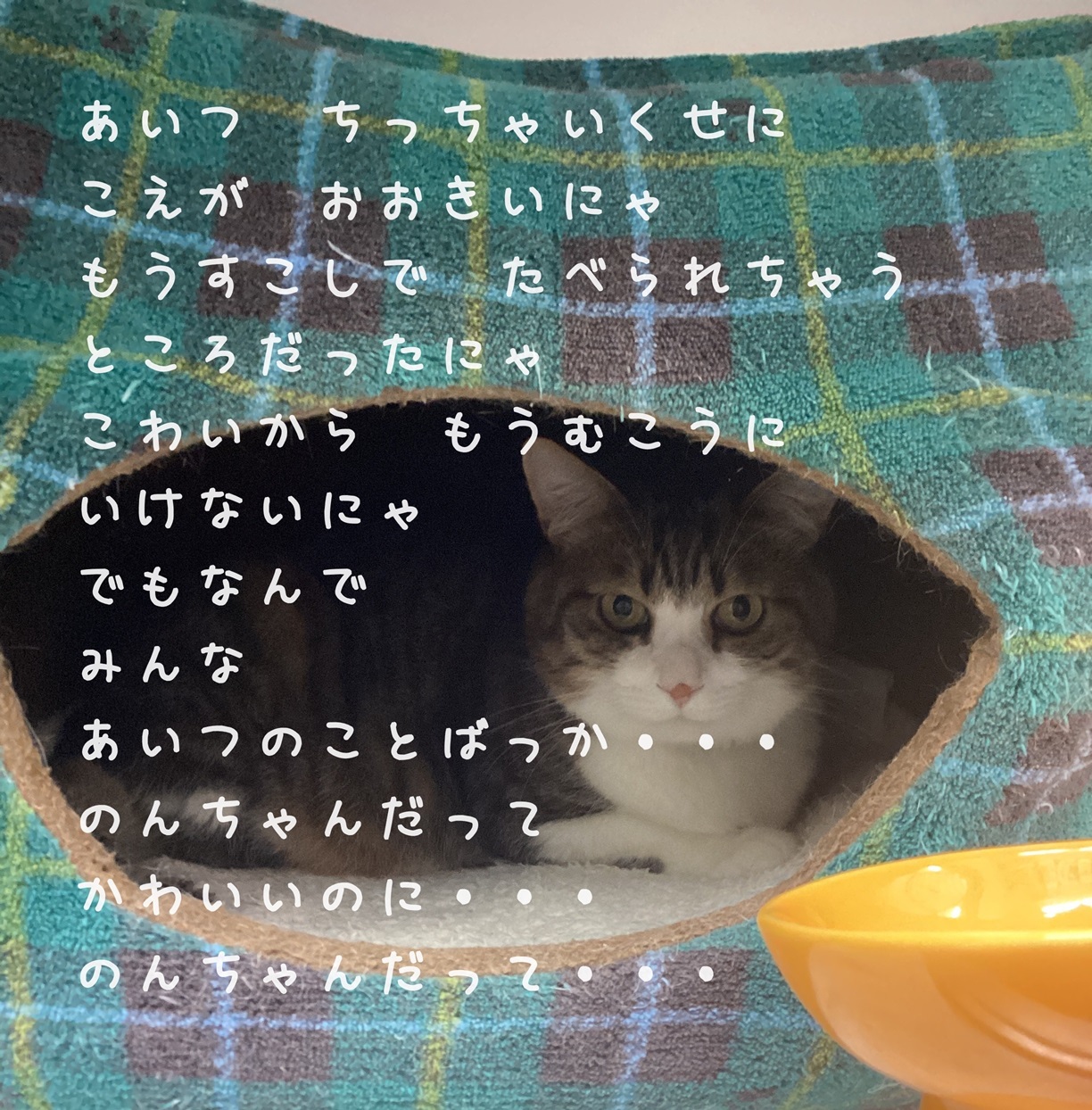 ぷんすか