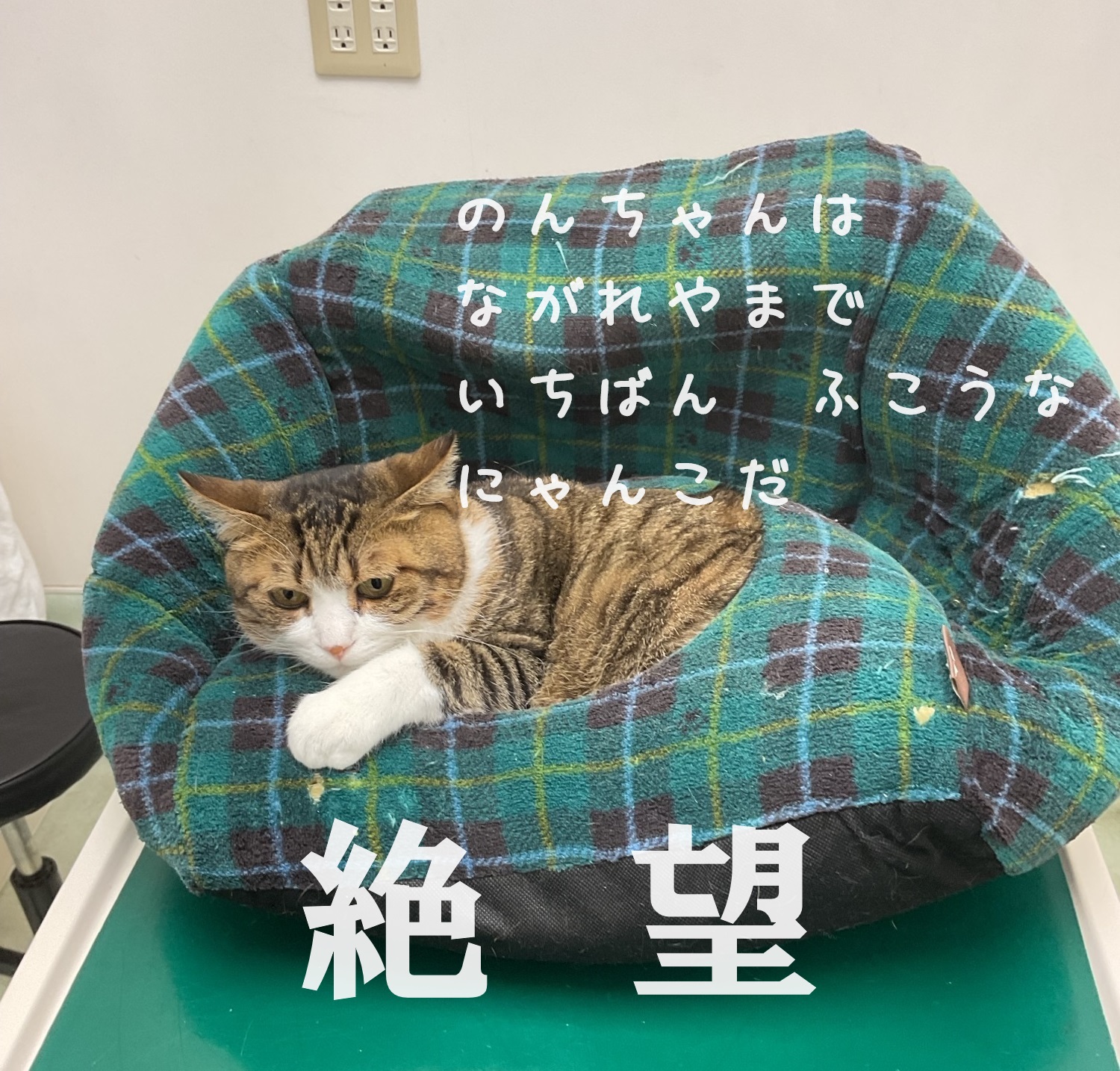 絶望中
