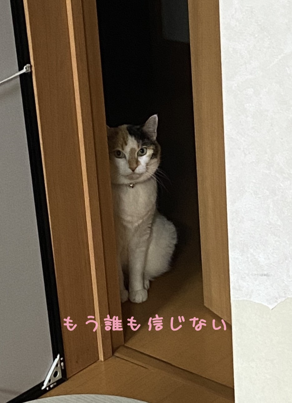 ゆるさん